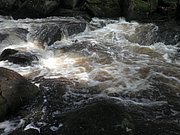 P4210047.JPG