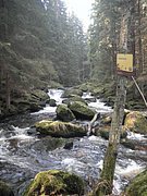 P4210049.JPG