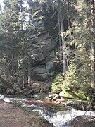 P4210054.JPG
