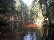 P4210062.JPG