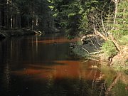 P4210064.JPG