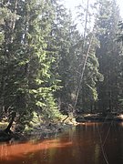 P4210065.JPG