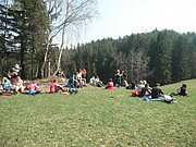 P4210077.JPG