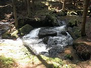 P4210089.JPG