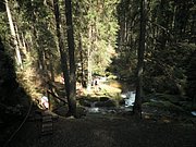 P4210098.JPG