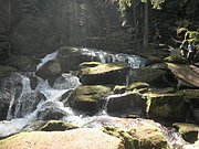 P4210101.JPG
