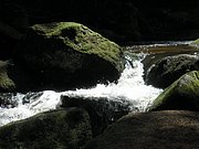 P4210104.JPG