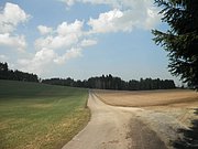 P4210127.JPG