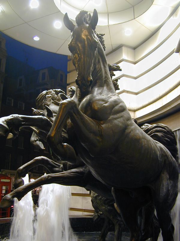 DSCN1679.JPG