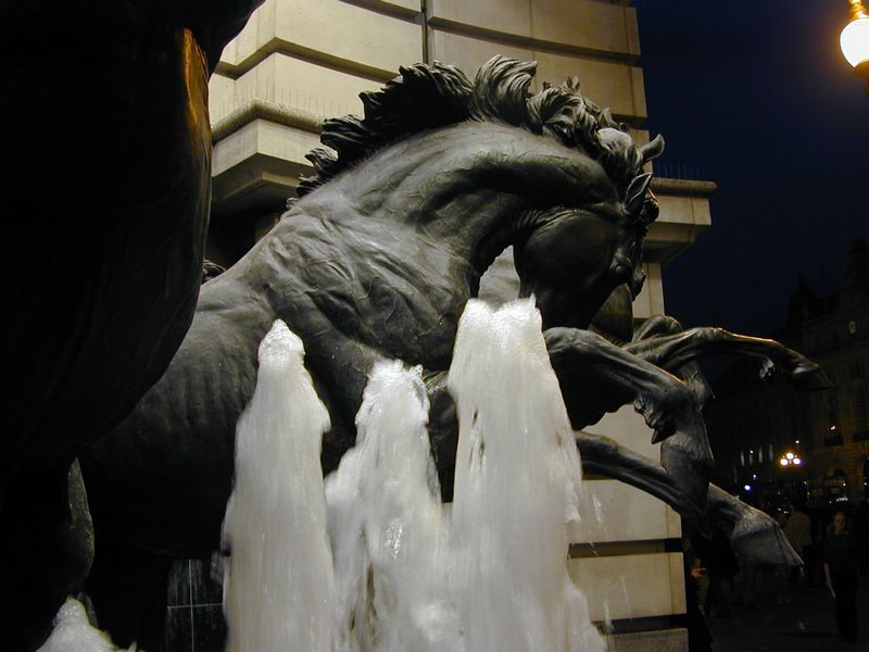 DSCN1681.JPG