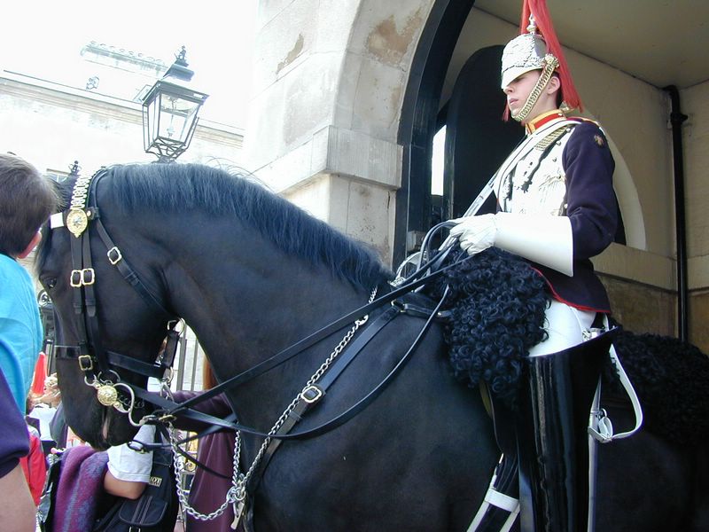 DSCN1797.JPG