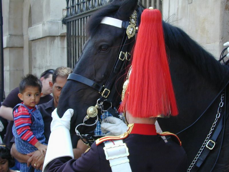 DSCN1800.JPG