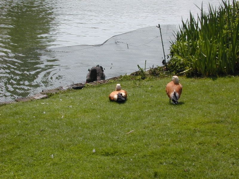 DSCN1809.JPG