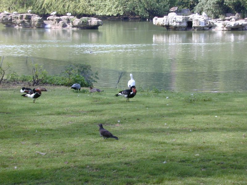 DSCN1815.JPG