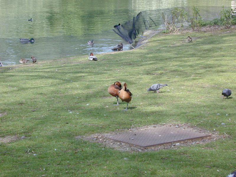 DSCN1818.JPG