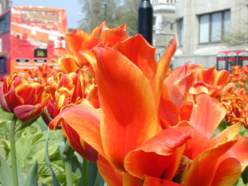 DSCN1924.JPG