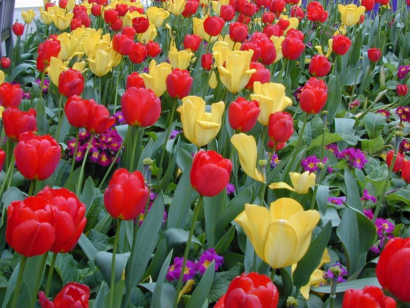 DSCN1933.JPG