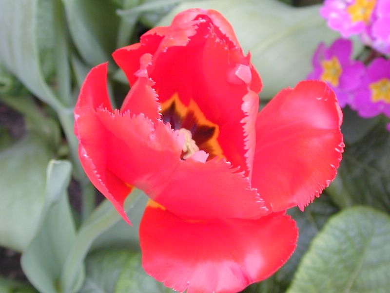 DSCN1934.JPG