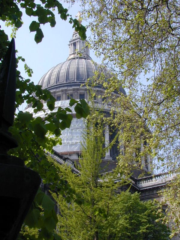 DSCN1935.JPG