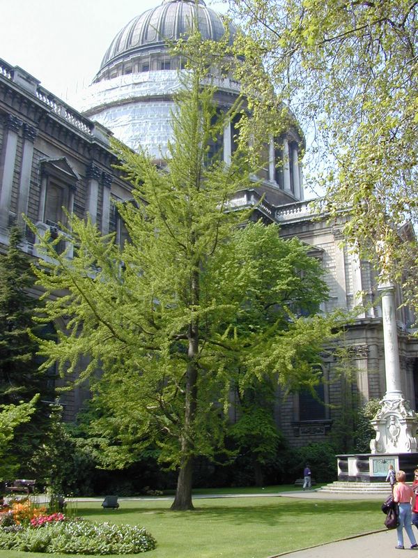 DSCN1936.JPG