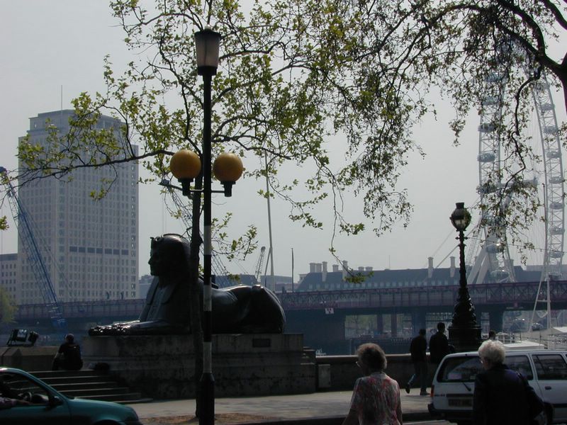DSCN2008.JPG