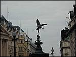 DSCN1452.JPG