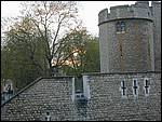 DSCN1478.JPG