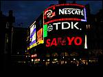 DSCN1521.JPG