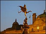 DSCN1674.JPG