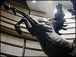 DSCN1682.JPG