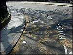 DSCN1730.JPG