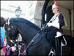DSCN1797.JPG