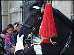 DSCN1800.JPG