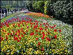 DSCN1806.JPG
