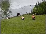 DSCN1809.JPG