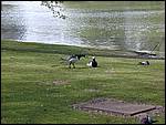 DSCN1817.JPG