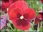 DSCN1904.JPG
