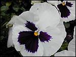 DSCN1905.JPG