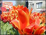 DSCN1924.JPG