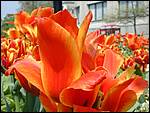 DSCN1925.JPG