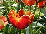 DSCN1929.JPG