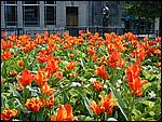 DSCN1931.JPG