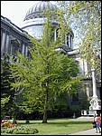 DSCN1936.JPG