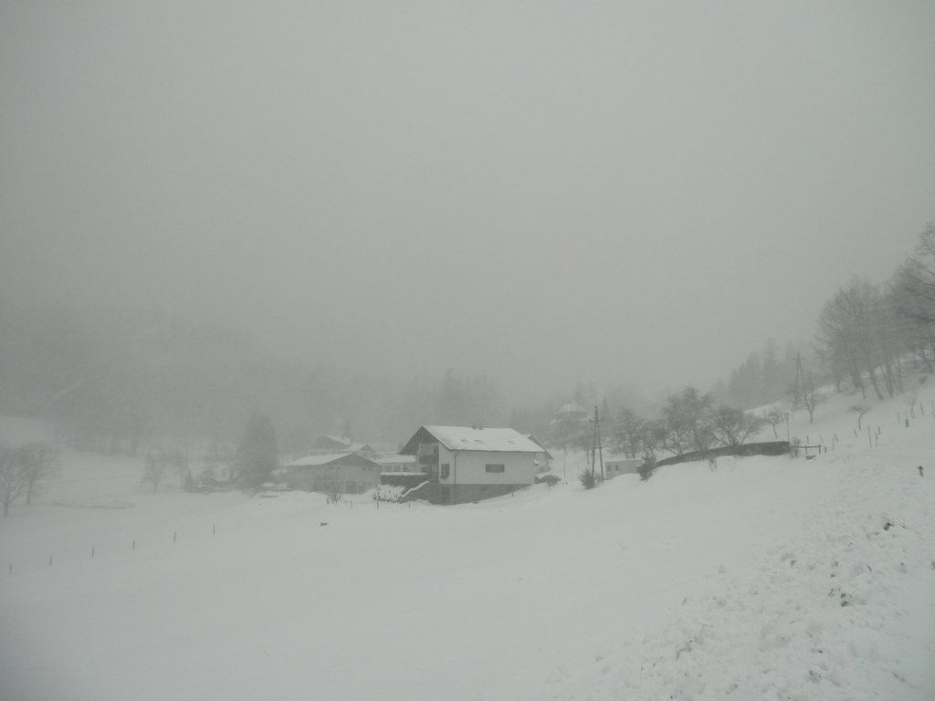 PC120105.JPG