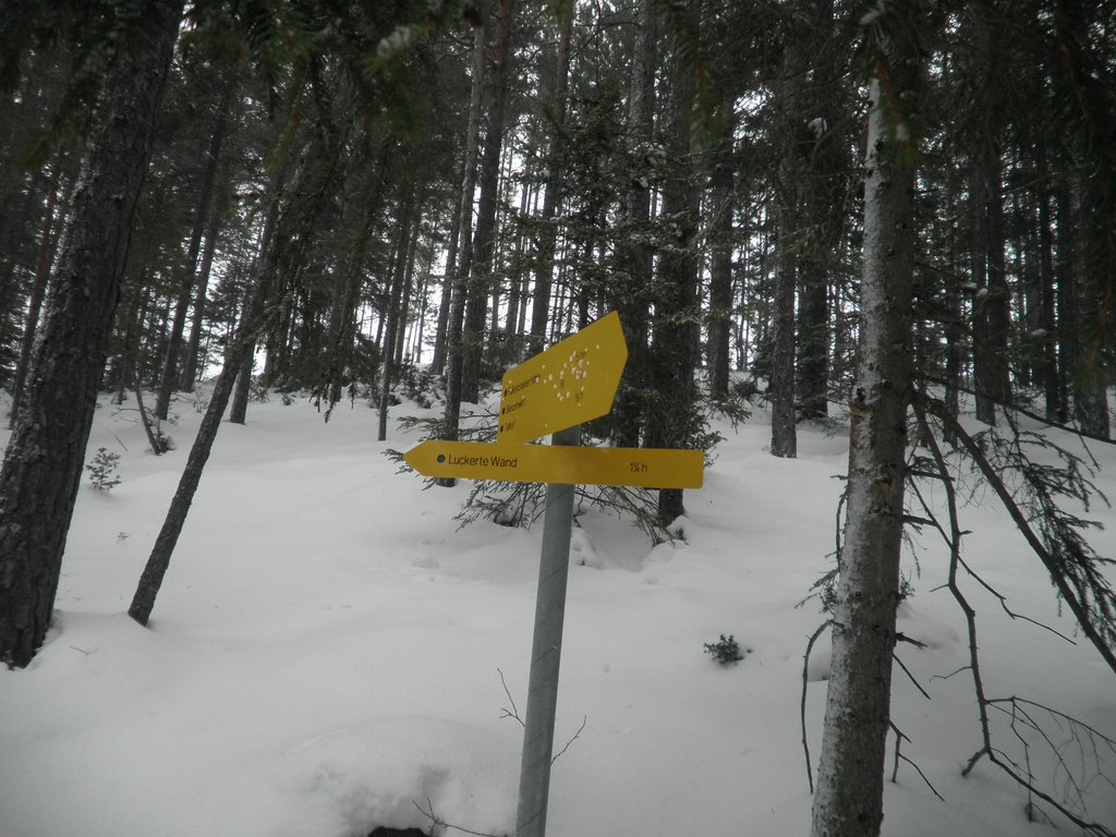 PC120116.JPG