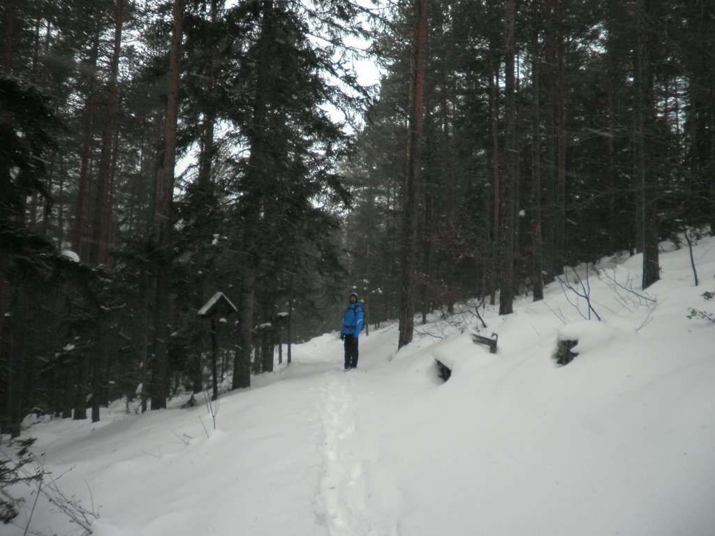 PC120117.JPG