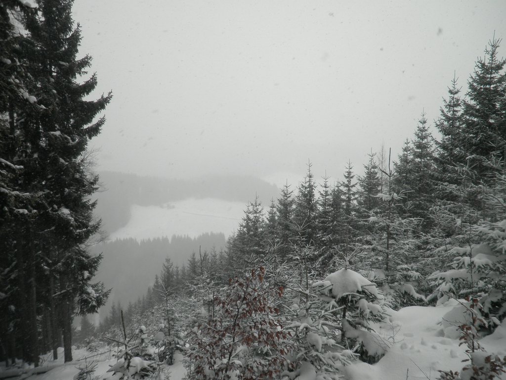 PC120123.JPG