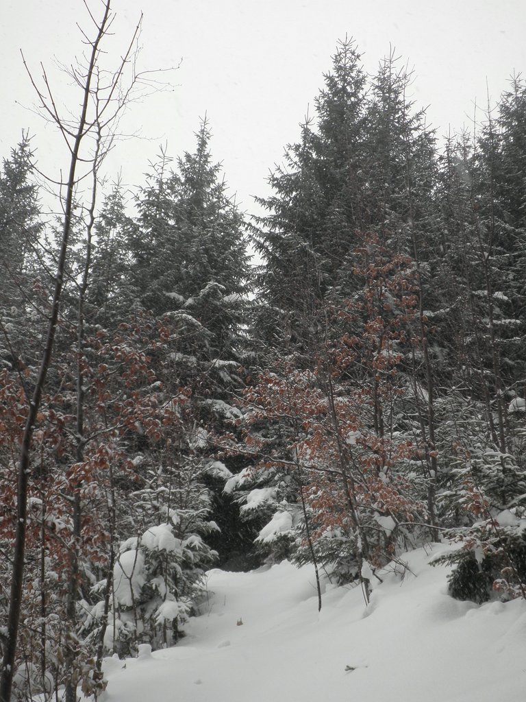 PC120124.JPG