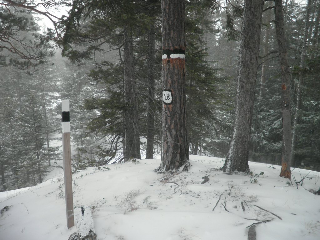 PC120125.JPG