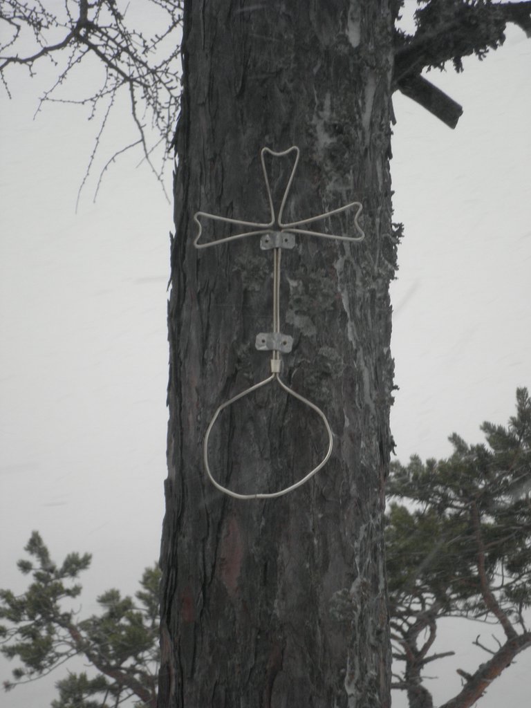 PC120127.JPG